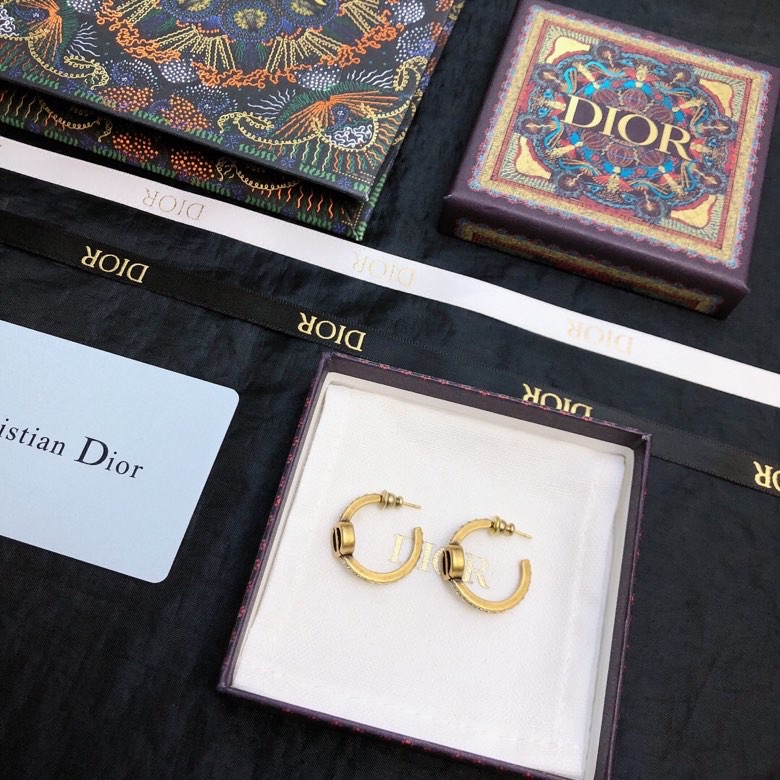 chr1st1an D10r earrings